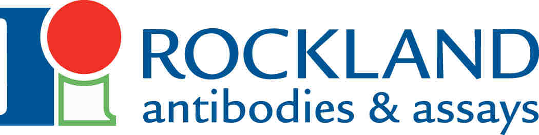 Rockland Immunochemicals Inc. Rockland Immunochemicals Inc.